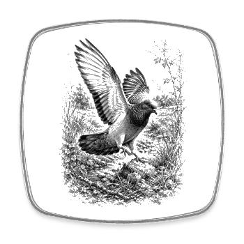 Pigeon in flight in nature in detailed drawing style - Square fridge magnet - white - Front