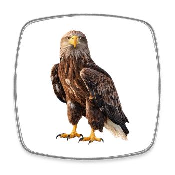 Seeadler Adler Eagle - Viereckiger Kühlschrankmagnet - Weiß - Vorne