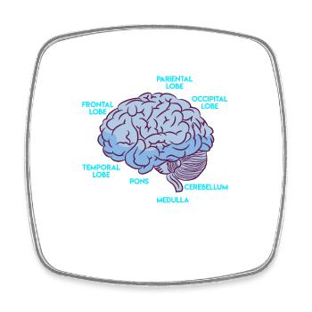 Anatomy of a Brain Medicine Student - Square fridge magnet - white - Front