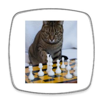 Cat plays chess - Square fridge magnet - white - Front