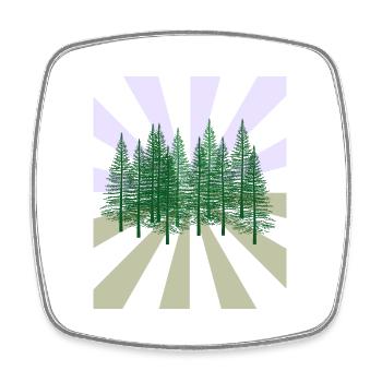 Strahlen Wald Tannen Wildnis Flora Ökologie - Viereckiger Kühlschrankmagnet - Weiß - Vorne