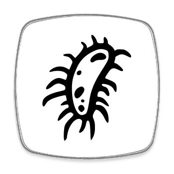 bacteria cell type 3 - Magnet carré - blanc - Devant