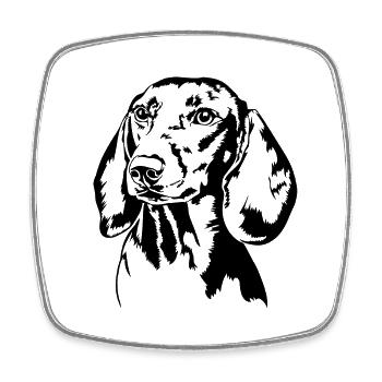 Dachshund Dachshund Teckel Dog Portrait Dogs - Square fridge magnet - white - Front