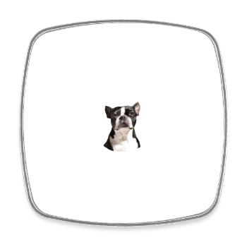 Vorsicht vor dem Herrchen - Boston Terrier - Viereckiger Kühlschrankmagnet - Weiß - Vorne