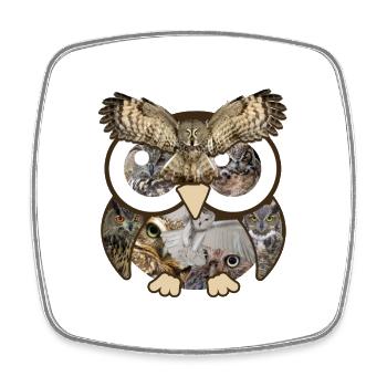 Owls Photos Collage Big Eyes Cute Nocturnal Bird - Square fridge magnet - white - Front