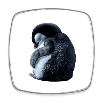 Pingouin - Magnet carré - blanc - Devant
