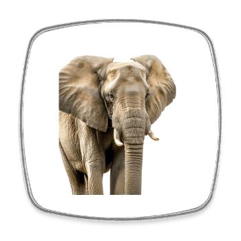 Elefant - Viereckiger Kühlschrankmagnet - Weiß - Vorne