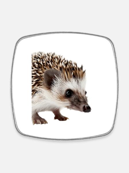 Igel - Viereckiger Kühlschrankmagnet - Weiß