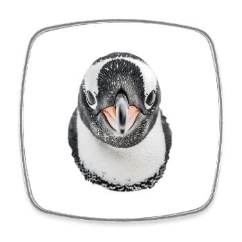 Pingouin - Magnet carré - blanc - Devant