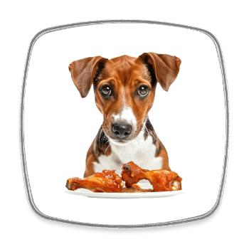 Chien - Magnet carré - blanc - Devant
