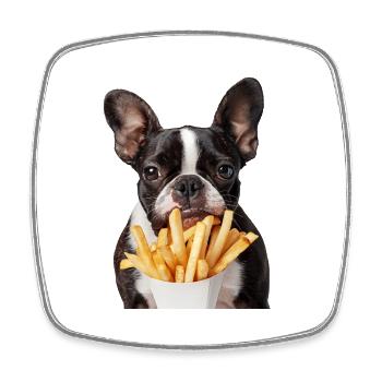 Boston Terrier - Viereckiger Kühlschrankmagnet - Weiß - Vorne