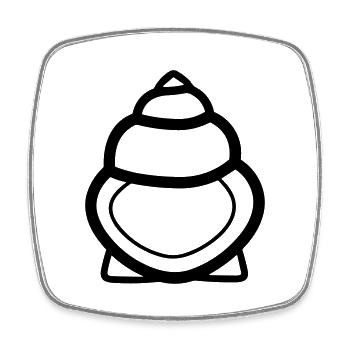 Shell - Square fridge magnet - white - Front