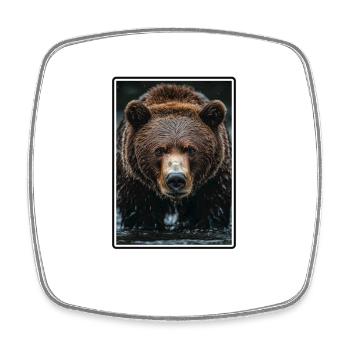 Ours Kodiak Ours Kodiak - Magnet carré - blanc - Devant