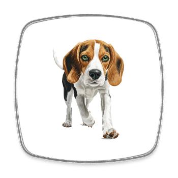 Beagle - Viereckiger Kühlschrankmagnet - Weiß - Vorne