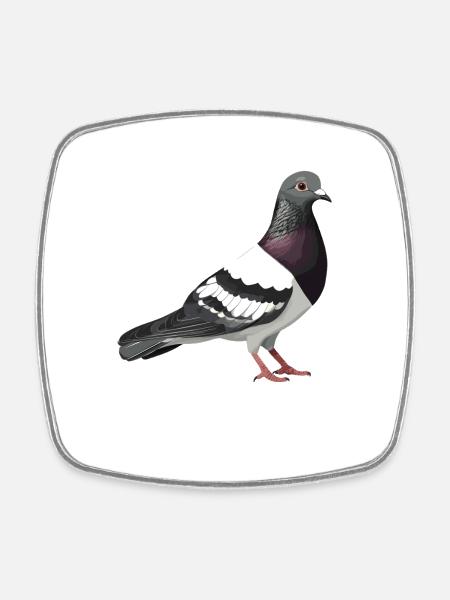 Tauben Taube - Viereckiger Kühlschrankmagnet - Weiß