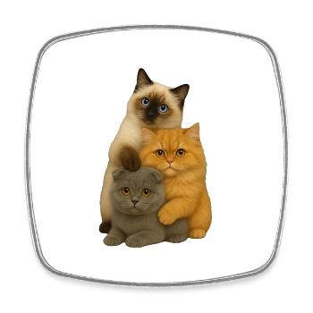 Pli persan birman - Magnet carré - blanc - Devant