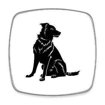 Chien Border Collie - Magnet carré - blanc - Devant