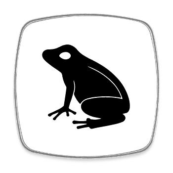 Frog - Square fridge magnet - white - Front