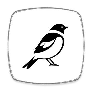 Little bird - Square fridge magnet - white - Front
