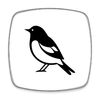 Little bird - Square fridge magnet - white - Front