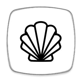 Shell - Square fridge magnet - white - Front