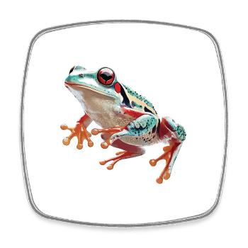 Frosch - Viereckiger Kühlschrankmagnet - Weiß - Vorne