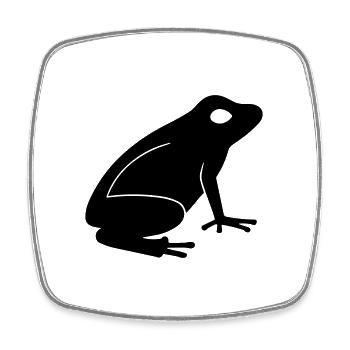 Frosch - Viereckiger Kühlschrankmagnet - Weiß - Vorne