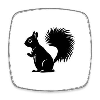 squirrel - Square fridge magnet - white - Front