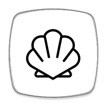 Shell - Square fridge magnet - white - Front