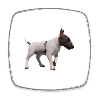 Miniature Bull Terrier - Magnet carré - blanc - Devant