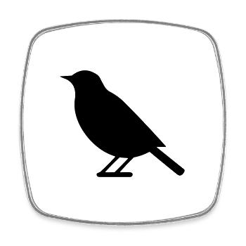 Bird - Square fridge magnet - white - Front