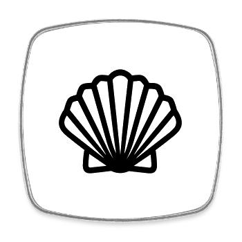 Shell - Square fridge magnet - white - Front