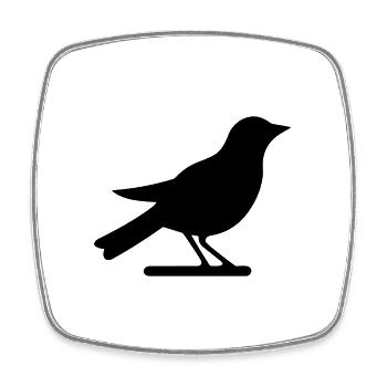 Bird - Square fridge magnet - white - Front