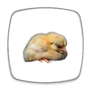 Chicken - Square fridge magnet - white - Front