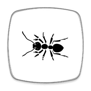 Ameise - Viereckiger Kühlschrankmagnet - Weiß - Vorne