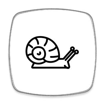 Snail - Square fridge magnet - white - Front
