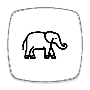 elephant - Magnet carré - blanc - Devant