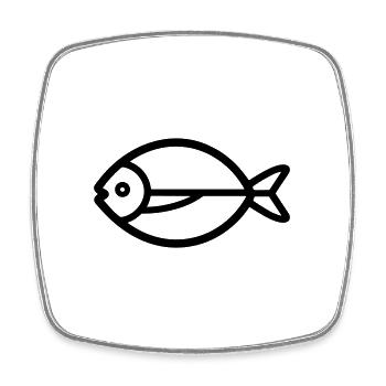 Fish - Square fridge magnet - white - Front