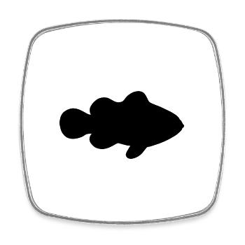 Fisch - Viereckiger Kühlschrankmagnet - Weiß - Vorne