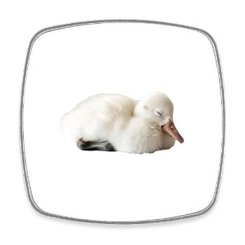 Schwan - Viereckiger Kühlschrankmagnet - Weiß - Vorne