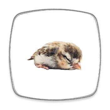 Finch Bird - Viereckiger Kühlschrankmagnet - Weiß - Vorne