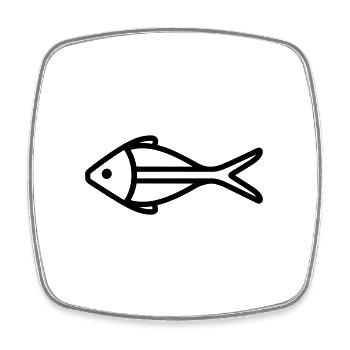 fish - Square fridge magnet - white - Front