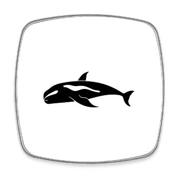 Whale - Square fridge magnet - white - Front