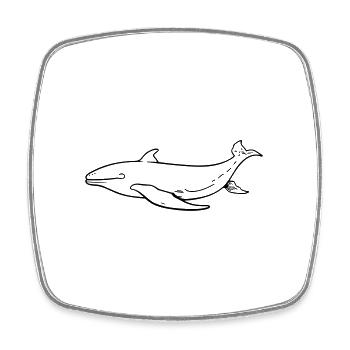 Whale - Square fridge magnet - white - Front