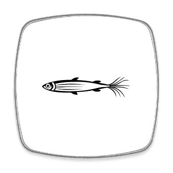 fish - Square fridge magnet - white - Front