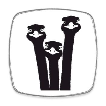 Nandu, tête d’autruche, émeu, autruche - Magnet carré - blanc - Devant