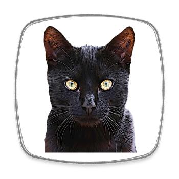 Cat black cat cats cat cats - Square fridge magnet - white - Front