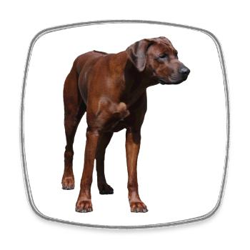 Rhodesian Ridgeback - Hunde Motiv - Viereckiger Kühlschrankmagnet - Weiß - Vorne