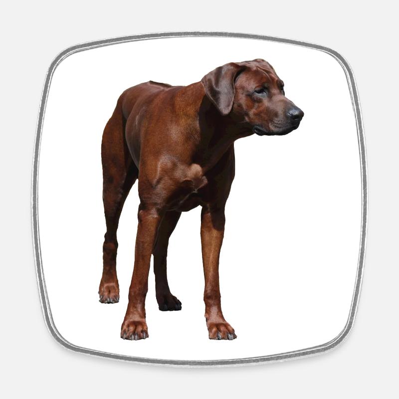 Rhodesian Ridgeback - Hunde Motiv - Viereckiger Kühlschrankmagnet - Weiß