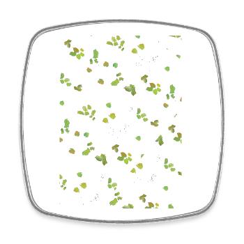 Feuilles d’automne Feuilles d’été Motif - Magnet carré - blanc - Devant